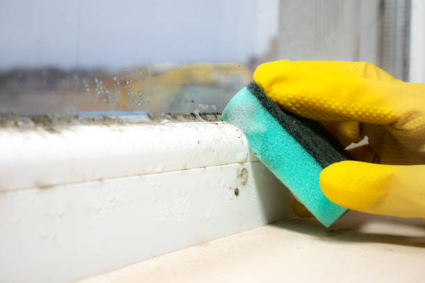 Water Damage Restoration in Willis, TX